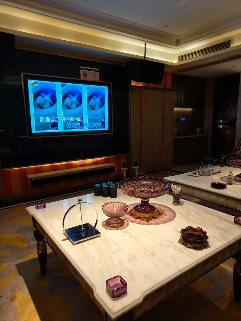 成都商务ktv最佳选择-成华区ktv预订